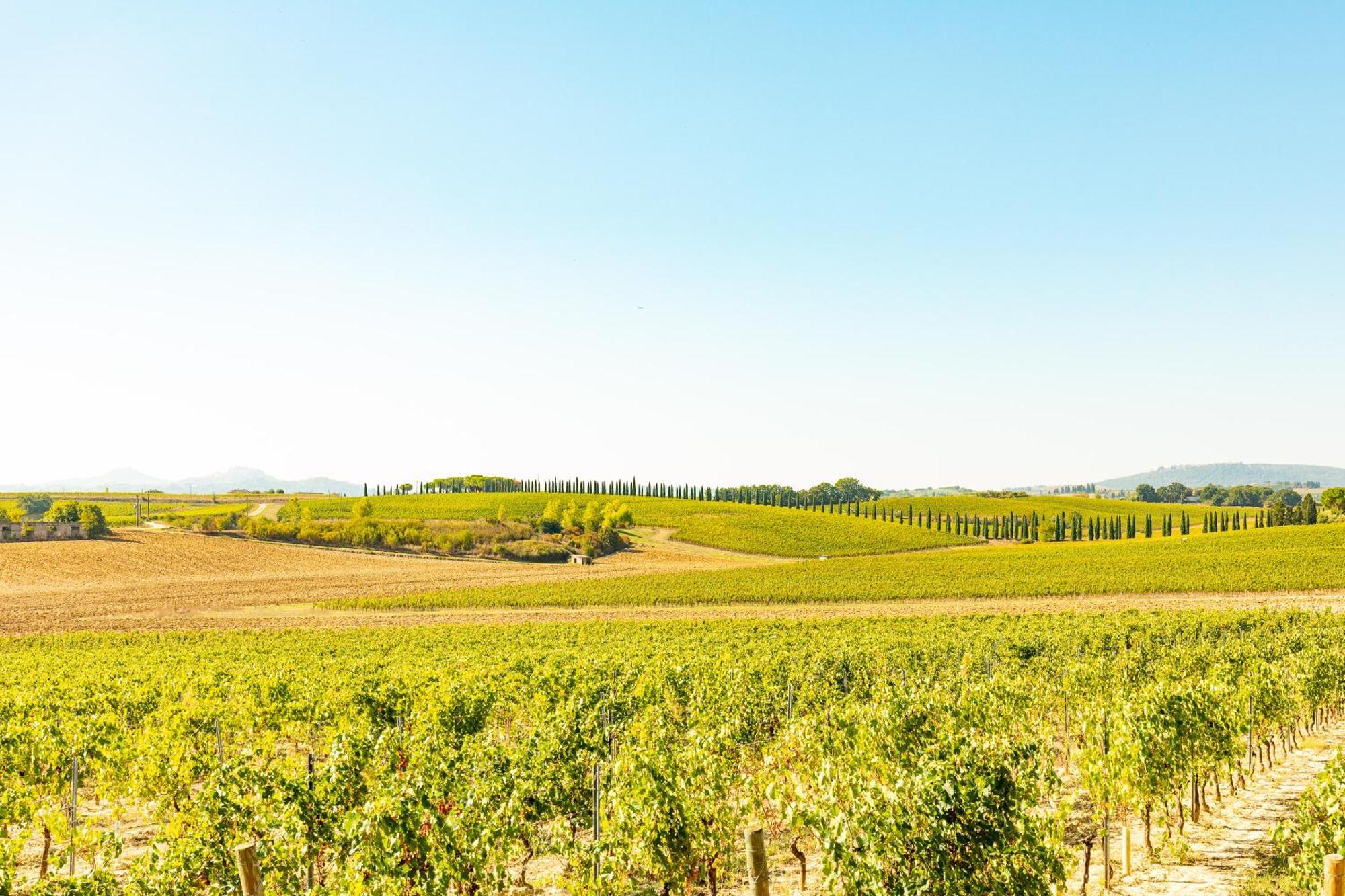 Appartamento Greppino Montepulciano Stazione エクステリア 写真