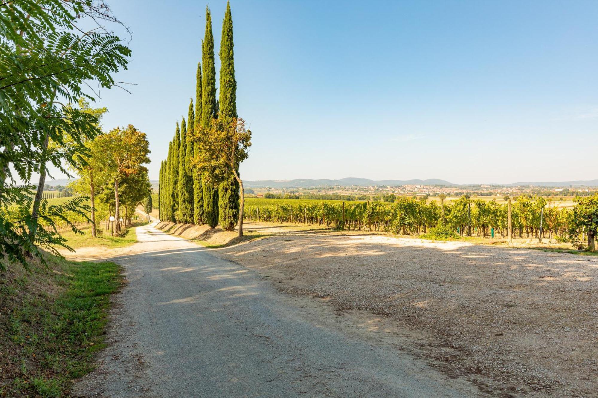 Appartamento Greppino Montepulciano Stazione エクステリア 写真