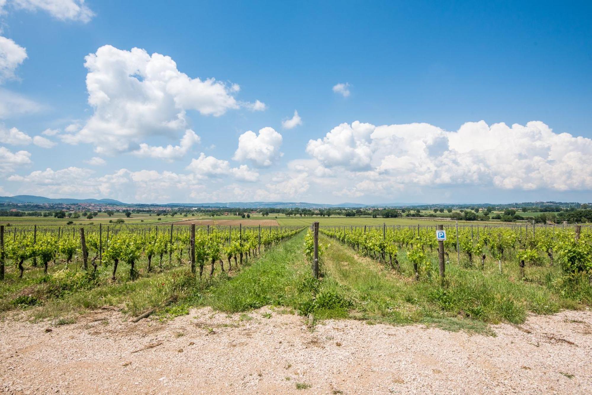 Appartamento Greppino Montepulciano Stazione エクステリア 写真